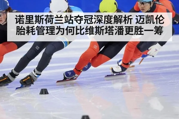 诺里斯荷兰站夺冠深度解析 迈凯伦胎耗管理为何比维斯塔潘更胜一筹